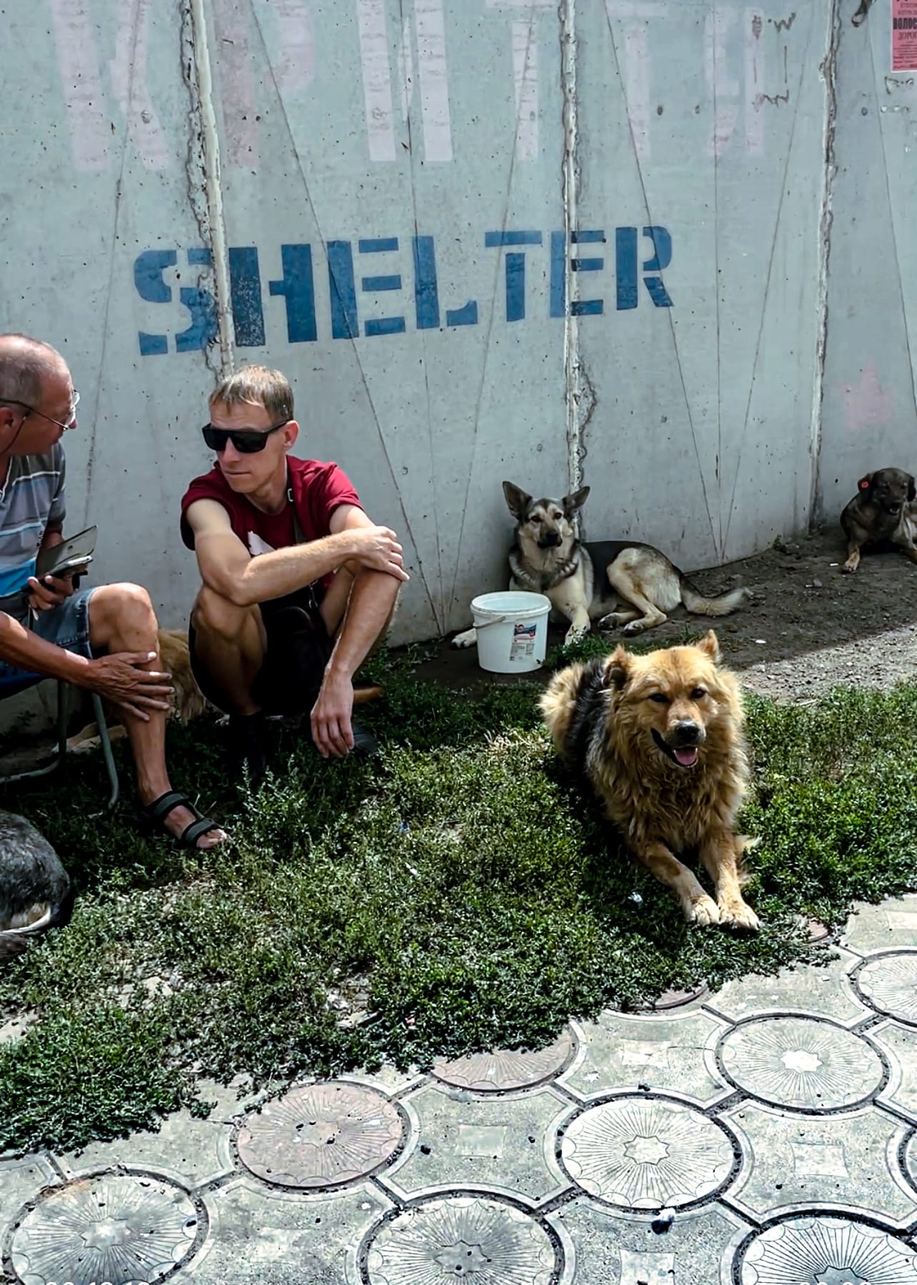 Battle for the Donbas: on the ground in eastern Ukraine