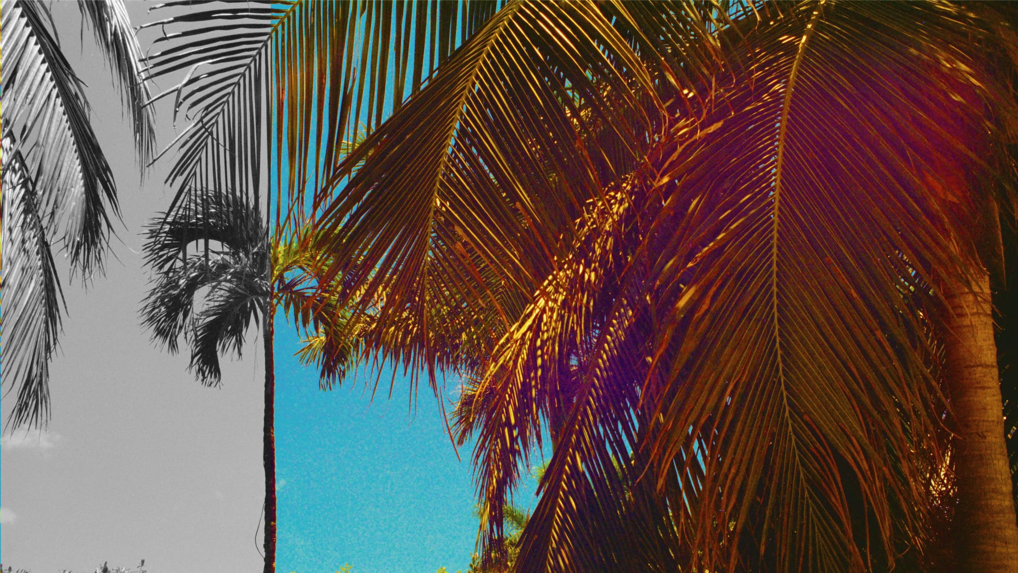 Think things in Florida are wild now? Just wait until 2026.