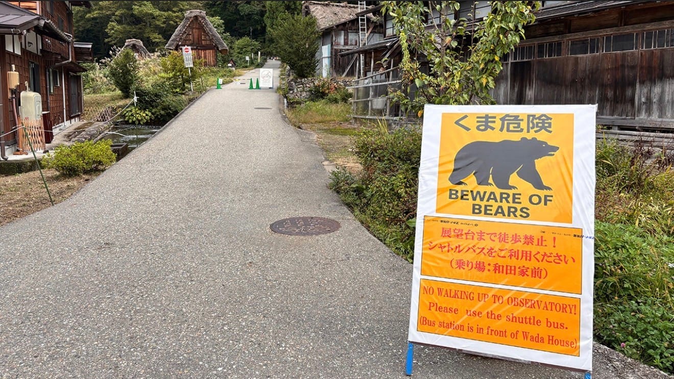 Japan deploys the military to address surge in bear attacks