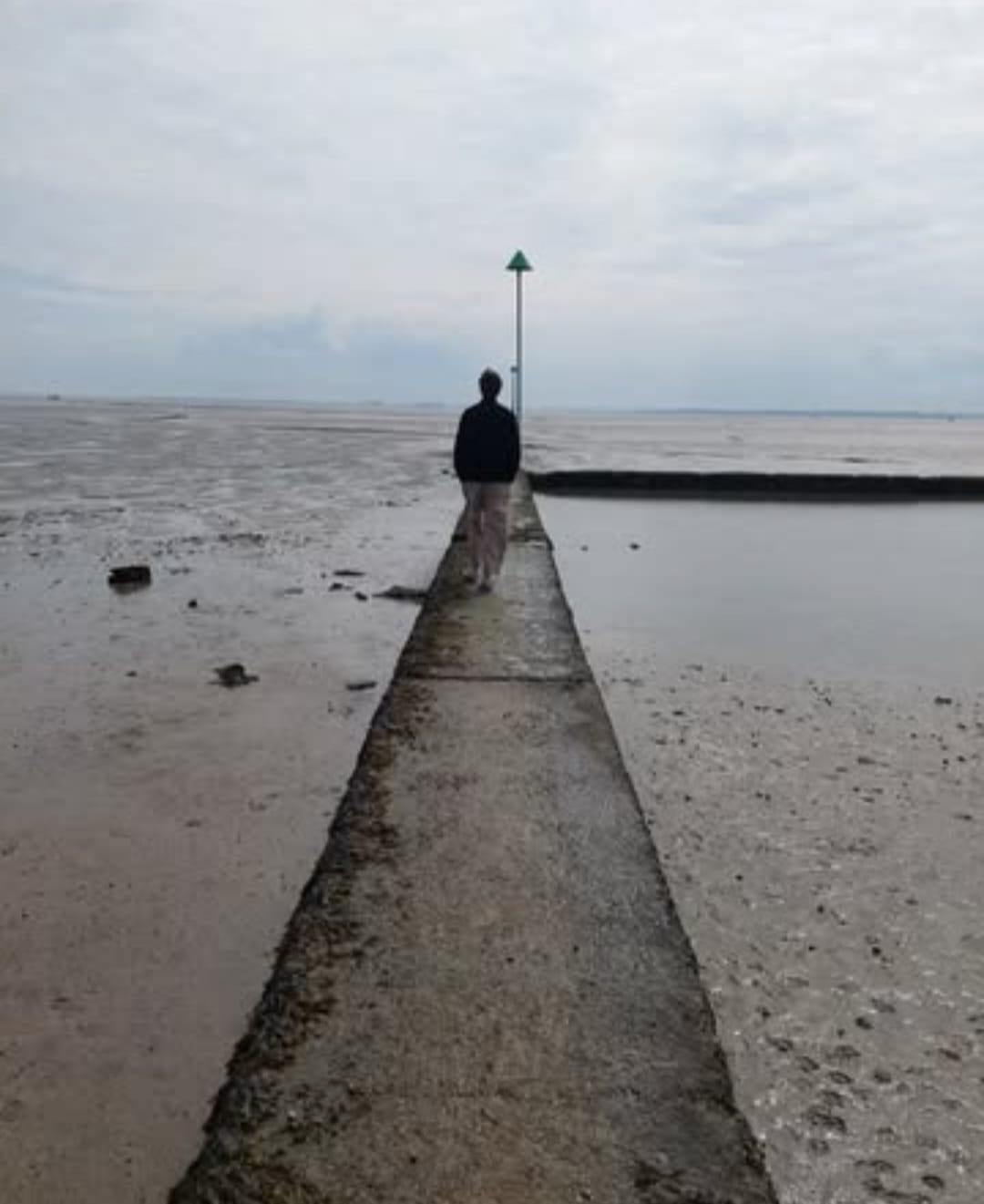 THEM - How Brexit Turned Friends into Foes