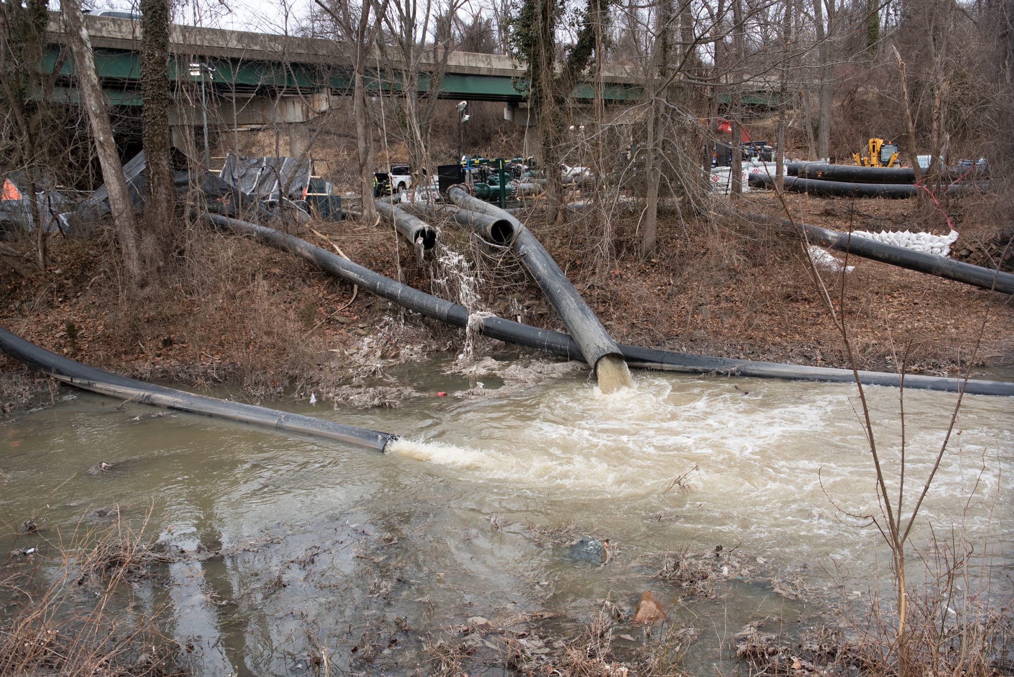 D.C.'s Potomac River Poop Problem: Cleaning Up the Largest Sewage Spill in US History