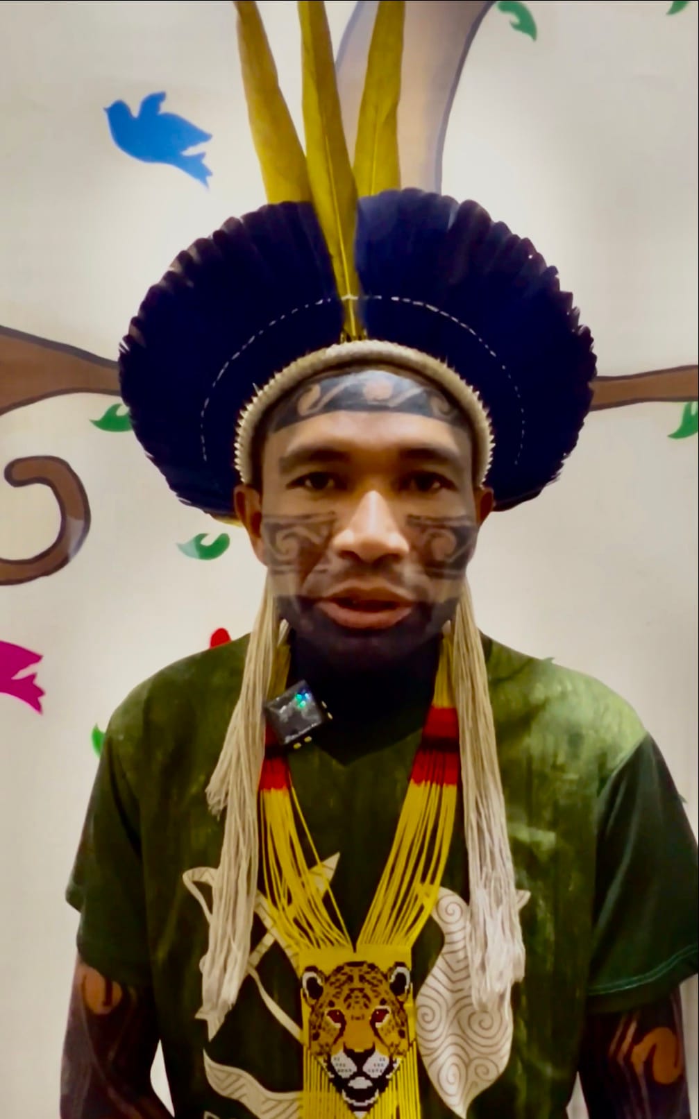 Belo Sun mine: “A complete failure of responsibility”