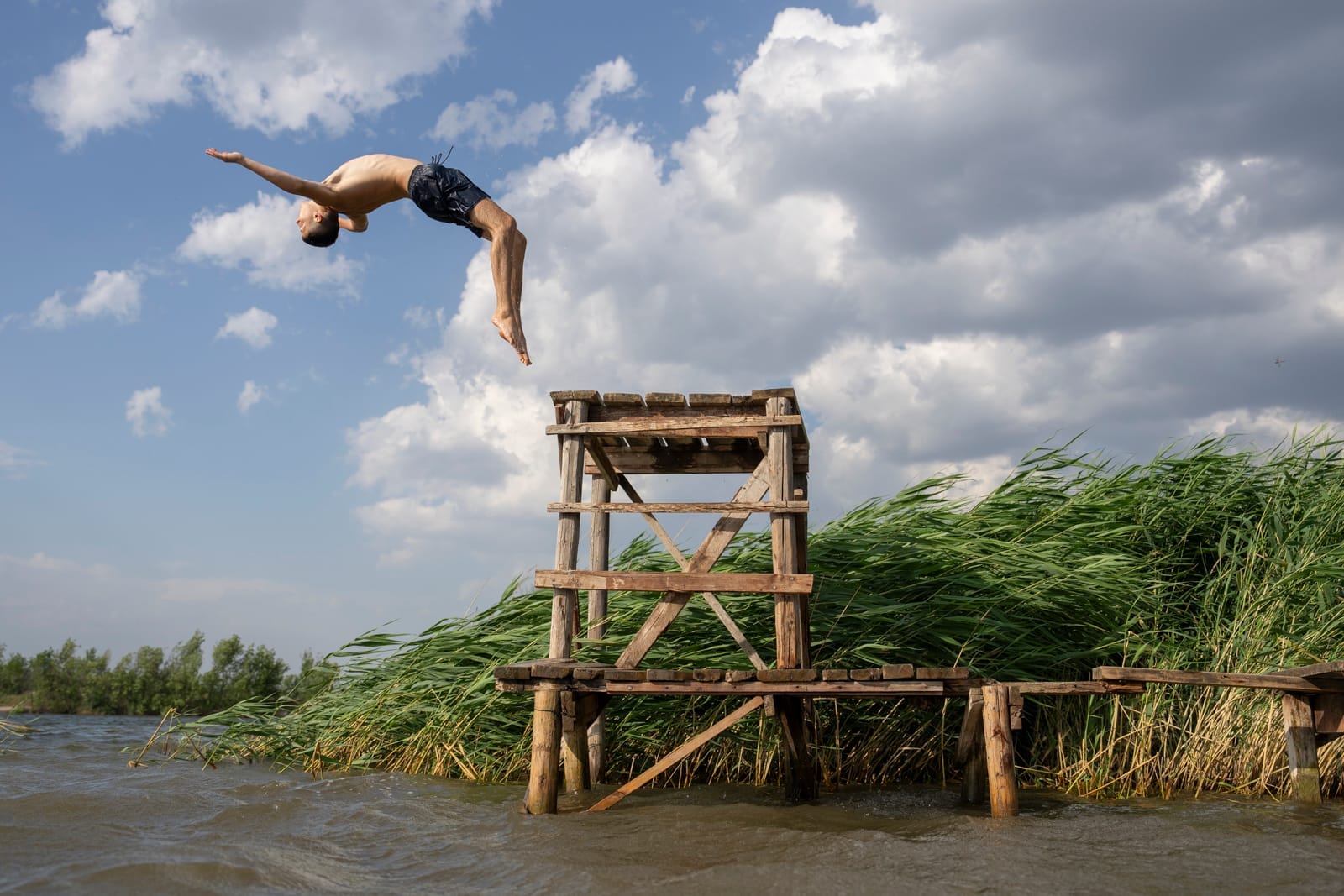 A lake in Donbas in summer