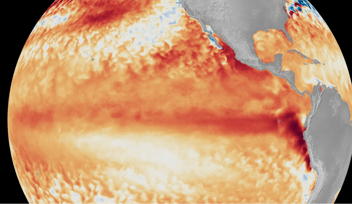 El Niño officially arrives as ocean temperatures heat up